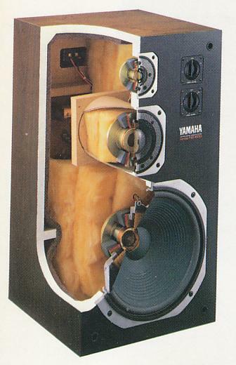 NS-600