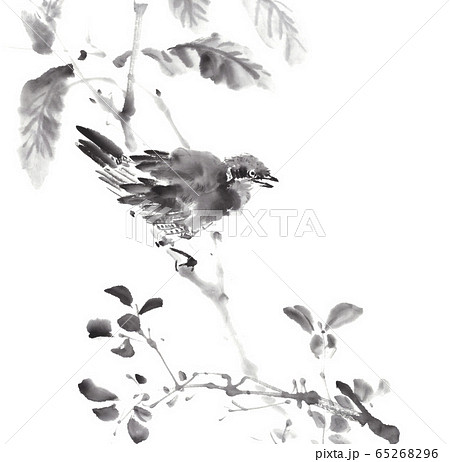 鳥 植物 水墨画のイラスト素材 [65268296] - PIXTA