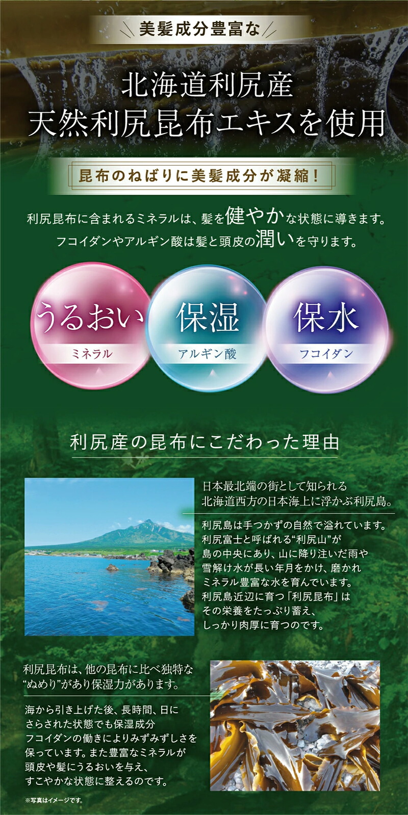 楽天市場】白髪用 利尻カラーシャンプー ＆ カラーケア