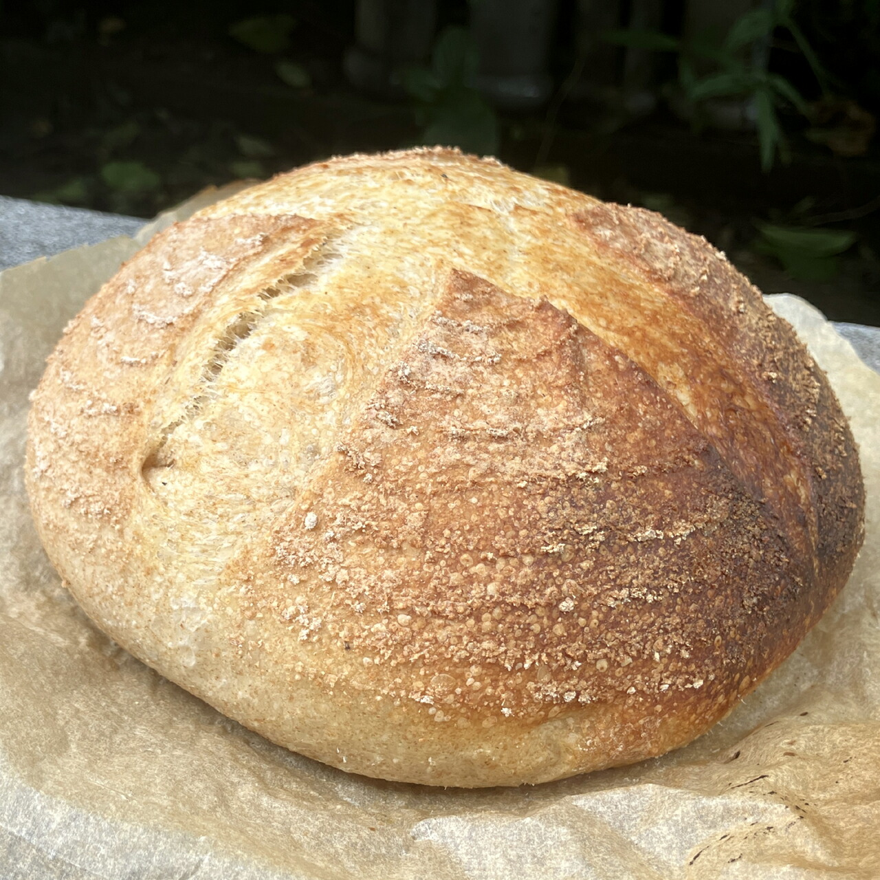 楽天市場】【閉店SALE 15％OFF 在庫限り】ツヨニーオーブン 天火