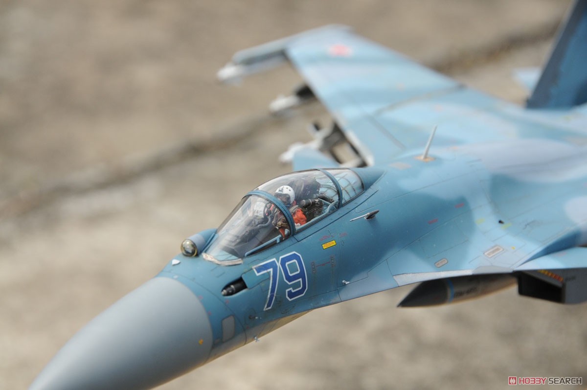 Su-27K SeaFlanker w/Kh-41 Moskit (Plastic model) - HobbySearch
