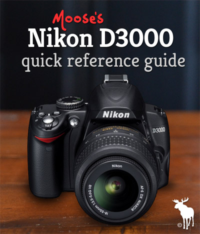 Nikon D3000 Quick Guide: Tips & Resources for Beginners