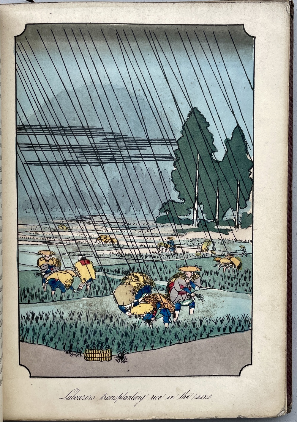 日本の断章：江戸の芸術家たちによる挿絵の複製を添えて』 - 青羽古