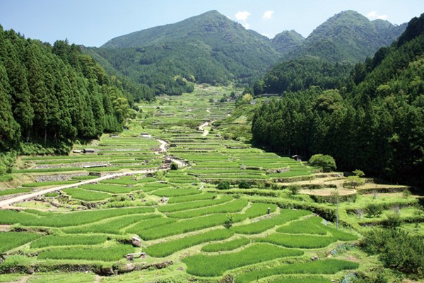 旬のひと・もの・こと特集｜豊・食・人 GEN-B（げんび〜）［ヤマサちくわ］