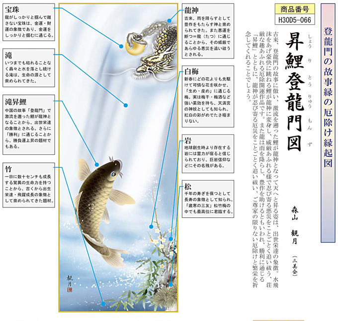 昇鯉登龍門図 森山観月 尺五 日本製 開運画 - 掛け軸（掛軸）販売通販