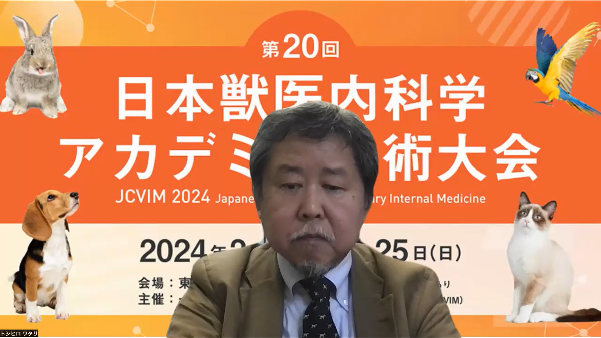 見どころ動画 | 日本獣医内科学アカデミー（JCVIM）