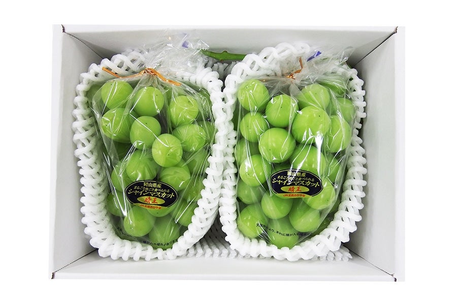 シャインマスカット2房【井原産】: JA晴れの国岡山|【JAタウン】産地