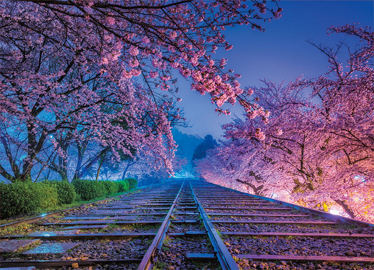 YAM-05-1015 KAGAYA 夢の軌道（京都） 500ピース ［CP-SK］ ［CP-JS