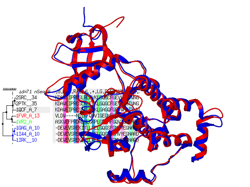 Molsoft L.L.C.: ICM Homology