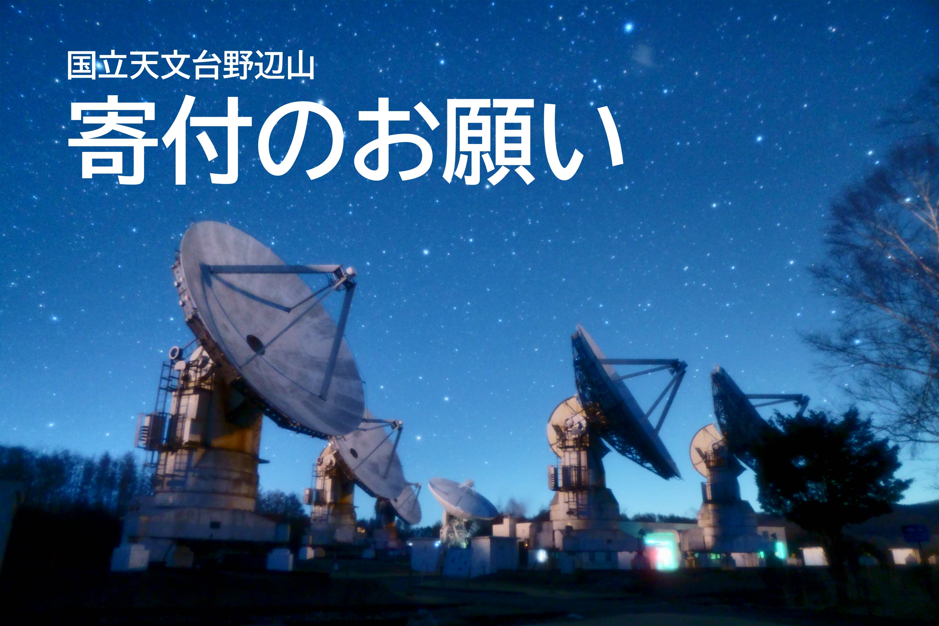 寄付のお願い