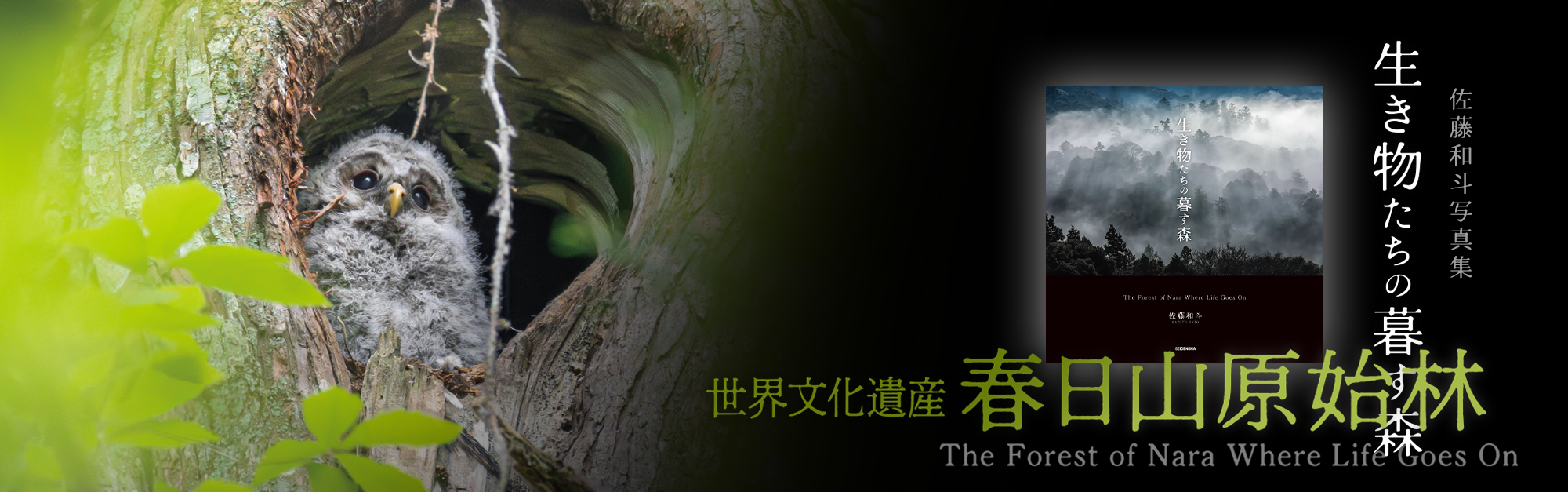 青菁社 SEISEISHA PUBLISHING CO., LTD. | 写真集をつくっている会社