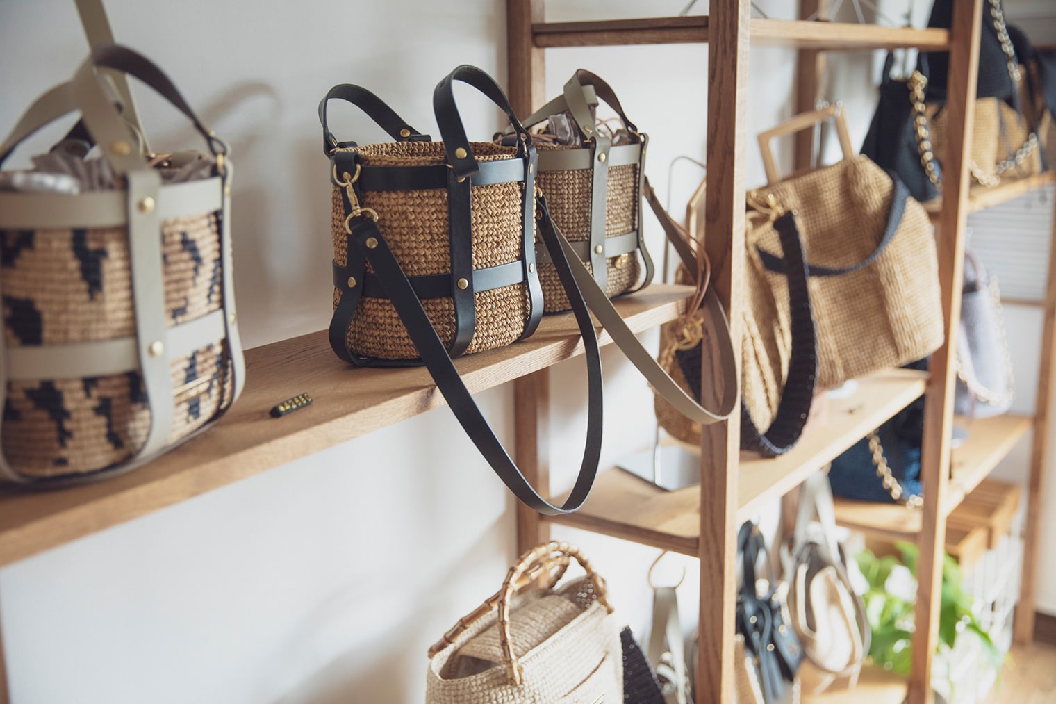 ビヨンドザリーフ｜私らしく。｜再春館製薬所