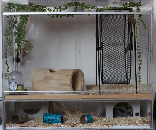 高級アクリルケージのご案内