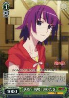 虎に睨まれた少女 羽川翼【ヴァイスシュヴァルツトレカ高価買取価格