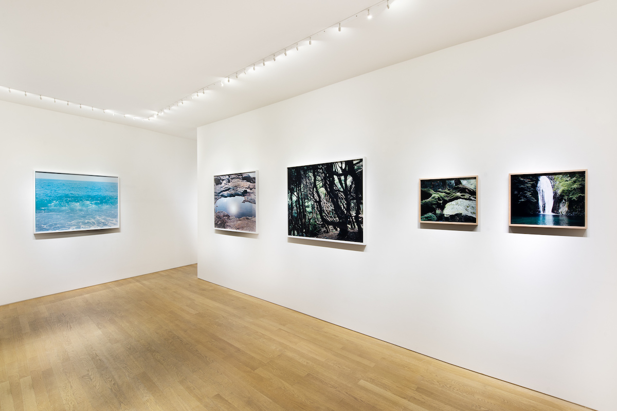 鈴木理策 「海と山のあいだ」 | タカ・イシイギャラリー / Taka Ishii