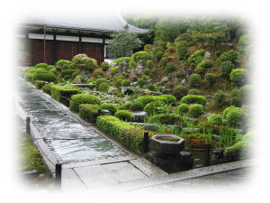 表具師 玉木楽山堂 お勧め商品－掛軸拡大画像 / 神戸市 東灘区 / 表具