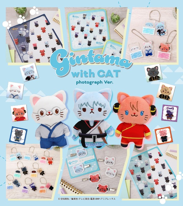 銀魂」銀さん、桂、沖田、土方たちがネコになっちゃった!? “withCAT