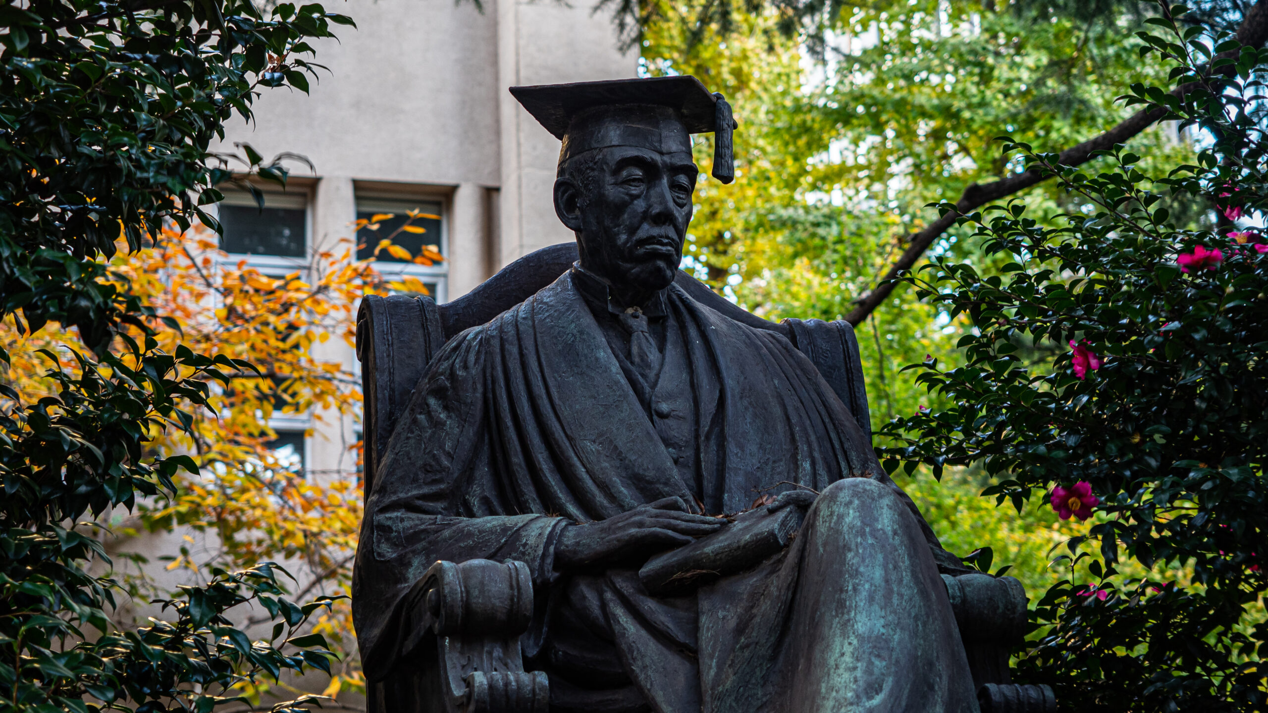 早稲田大学 人間科学部 虎の巻 – 【DoIT公式】難関私大文系オンライン