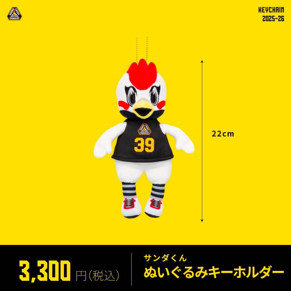 グッズ情報】12月27日(土)28(日) 三遠ネオフェニックス 戦 注目の