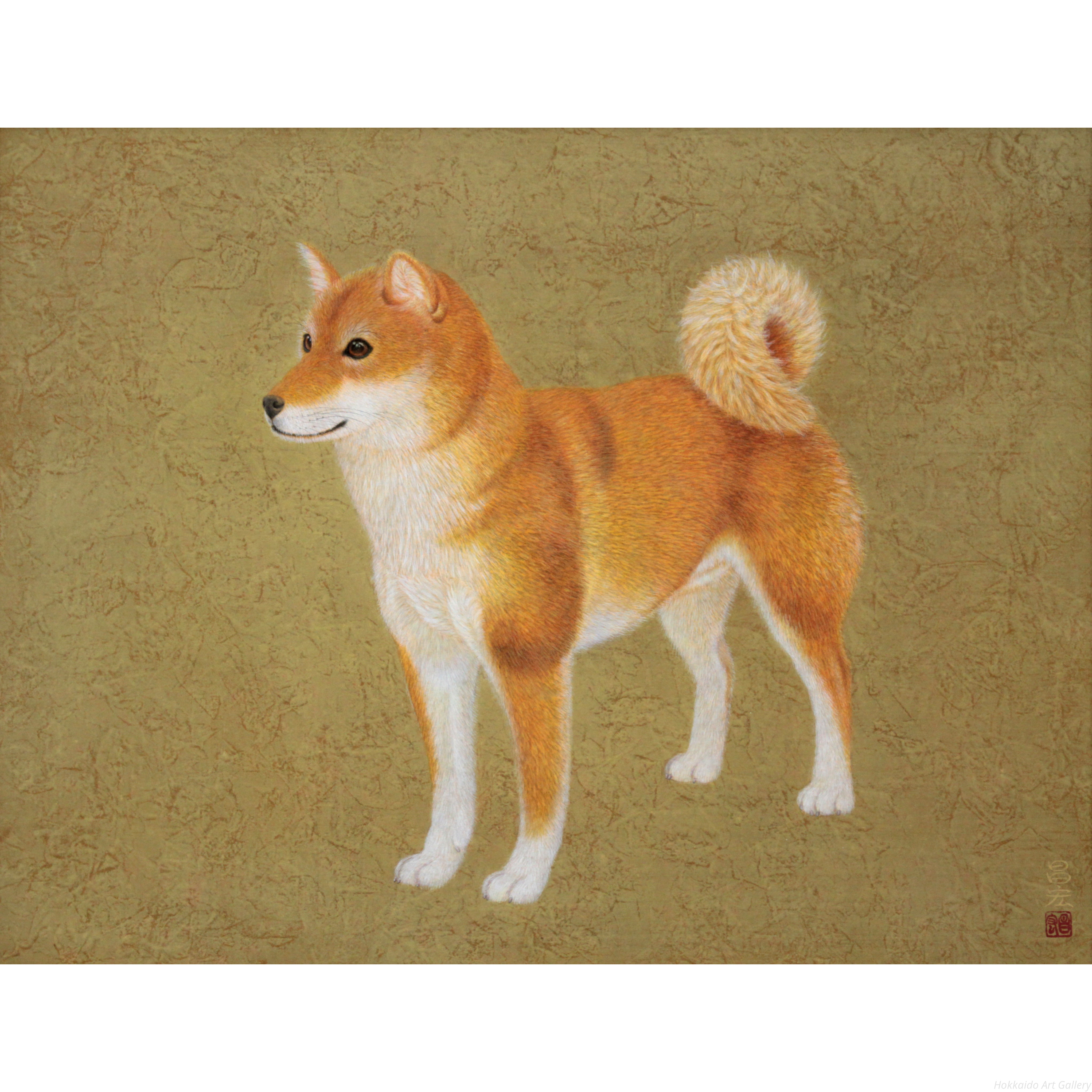 田口昌宏 『柴犬』 日本画 - 北海道画廊