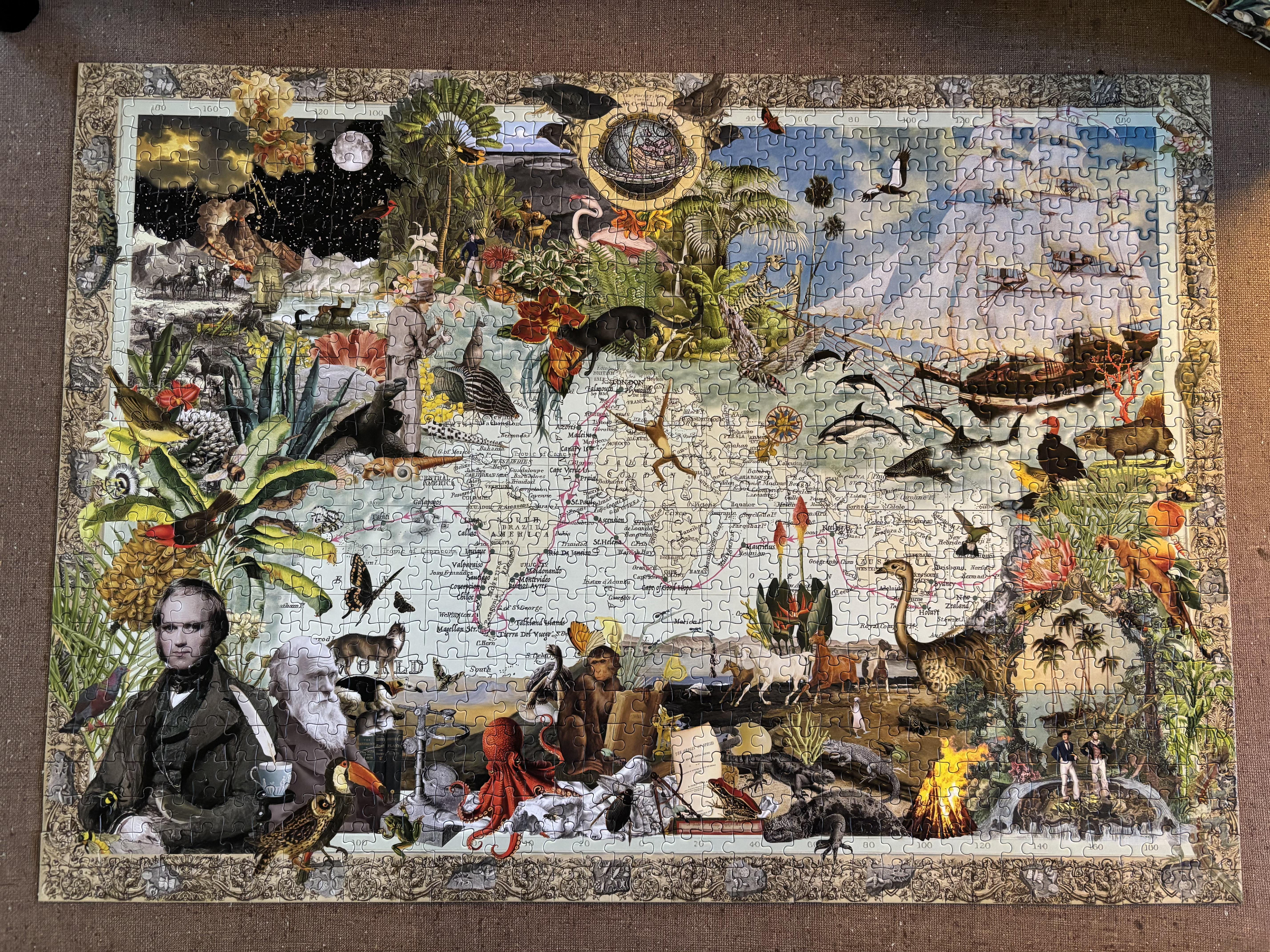 大英博物館 チャールズ・ダーウィン ジグソーパズル 1000ピース 大英