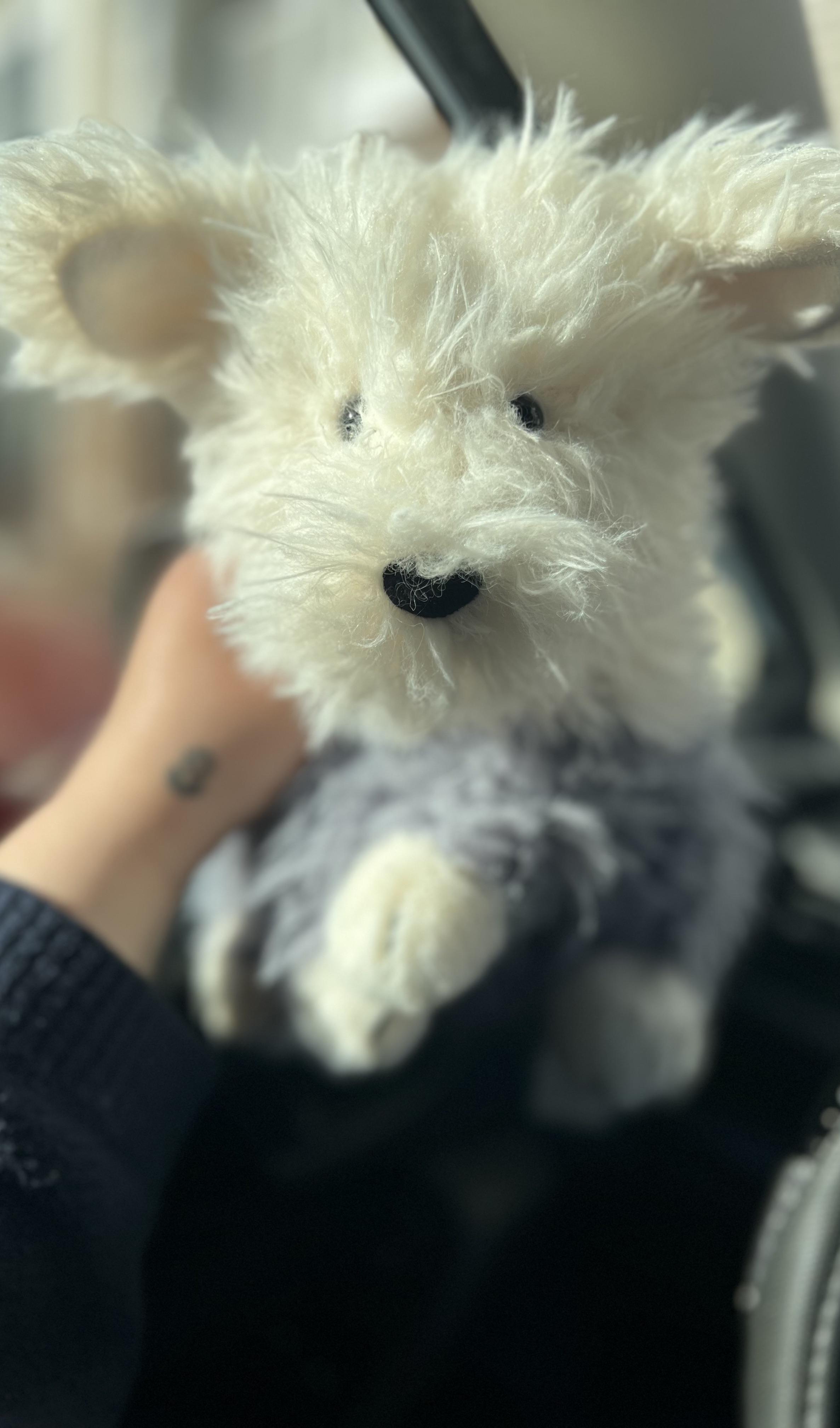 エヴァート・シープドッグ!!! : r/Jellycatplush