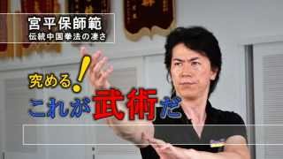 DVD 究める！これが武術だ 第1巻