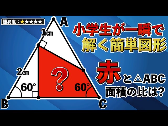 sddefault.jpg?v=6936ad0c