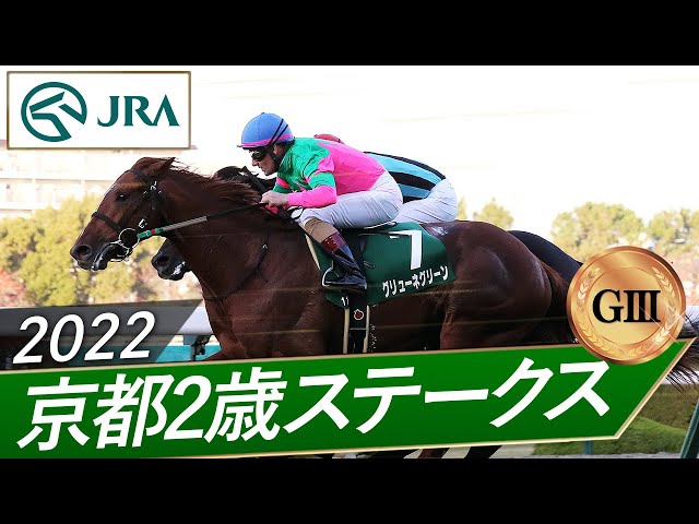 2022年 京都2歳ステークス（GⅢ） | グリューネグリーン | JRA公式