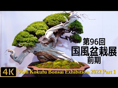 The 96th Kokufu Bonsai Exhibition 2022 Part 1 - YouTube