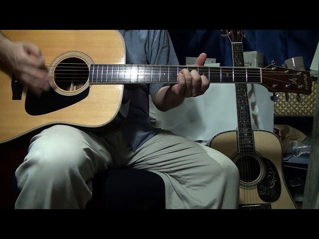 Morris MV-705 アコースティックギター Morris MV-705