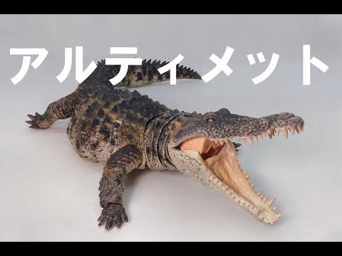 ガチャ】いきもの大図鑑アルティメットからナイルワニです。 - YouTube