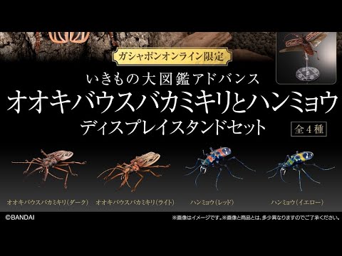 Complete unboxing video of the online version of the 