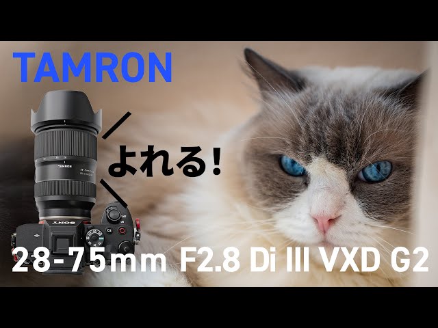 TAMRON 28-75mm F2.8 Di III VXD G2】 コスパ最強の寄れる標準ズーム