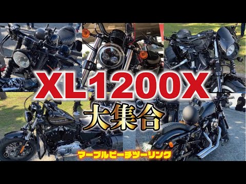 Forty-Eight] #76: Special feature on the explosively unique Forty