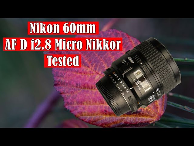 Nikon 60mm f2.8 Micro Nikkor tested! - YouTube