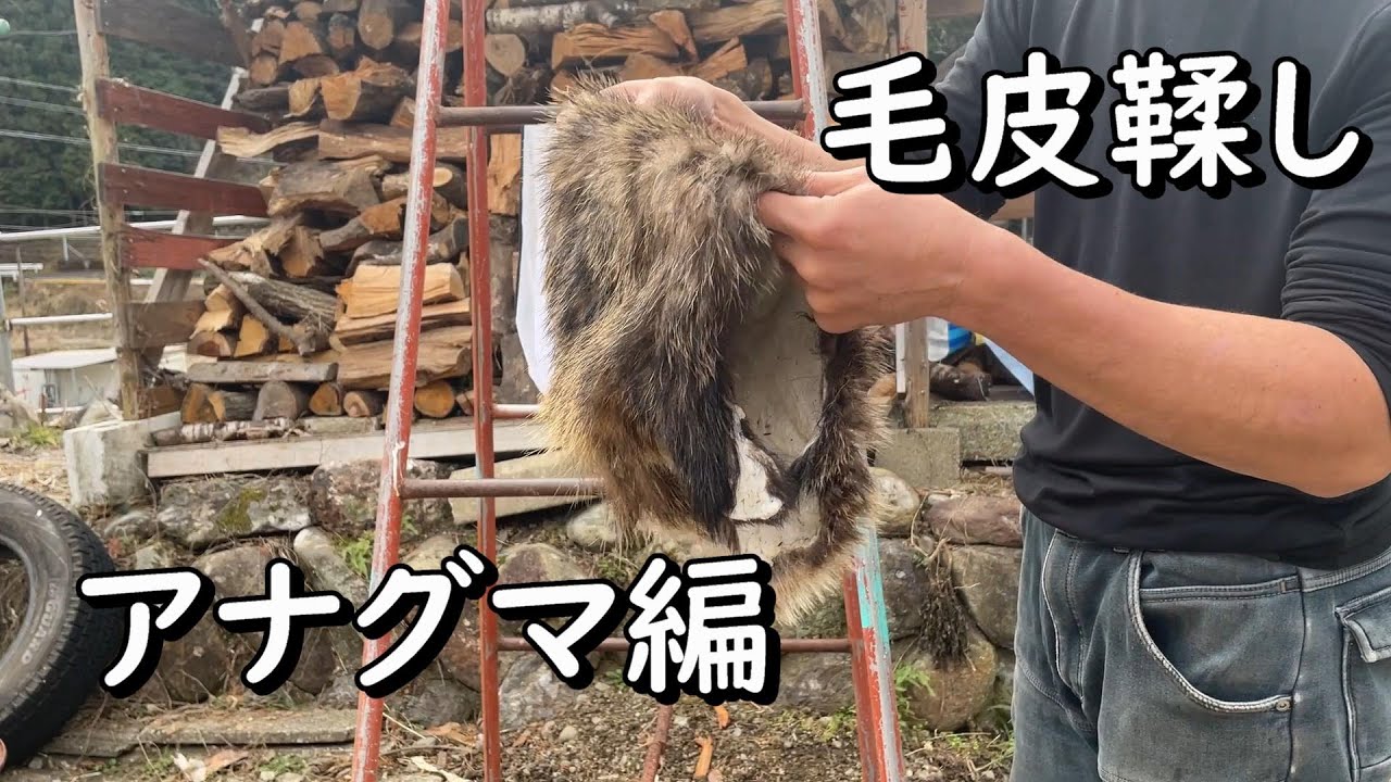 Viewer discretion advised] The fur of a butchered badger was