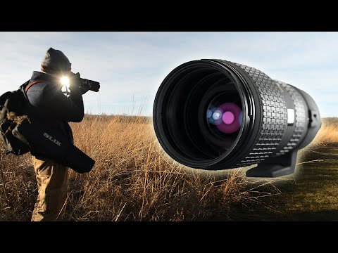 Sigma 100-300mm f/4 APO For Nikon Photo Excursion and Review - YouTube