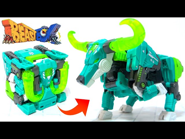 Cow that is too cool! ] Beast Box 