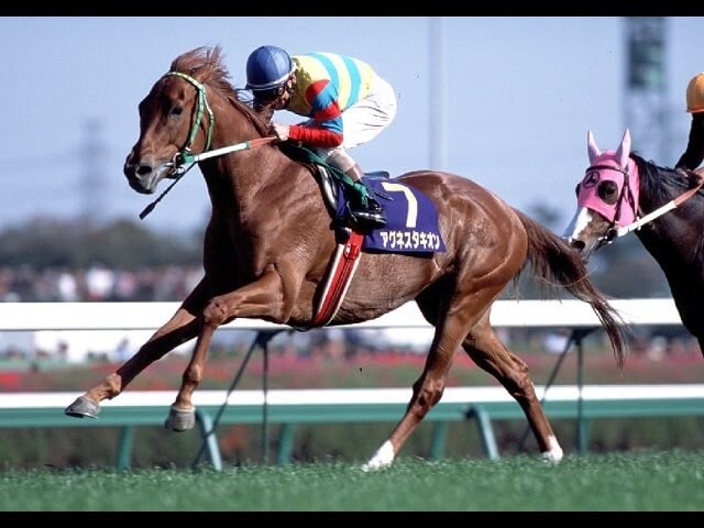 アグネスタキオン】“三冠”すら予感させた光速の走り/01年皐月賞 - YouTube