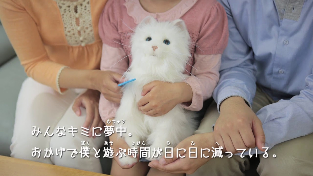 家族のように愛おしい！夢ねこプレミアム│セガトイズ - YouTube
