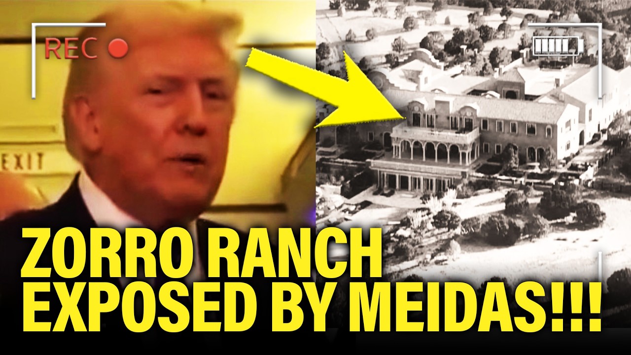 situasion trailer「The immortal envy club」 - YouTube