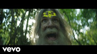 WILDFLOWER (2LP/DELUXE)/AVALANCHES/アヴァランチーズ｜ROCK / POPS