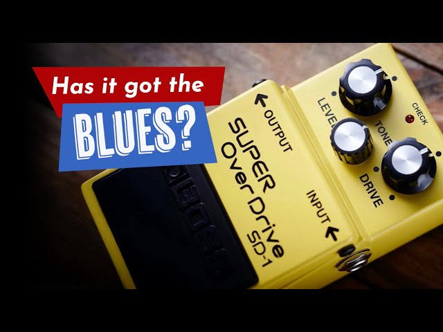 BOSS SD-1 Super Overdrive plays the blues! - YouTube