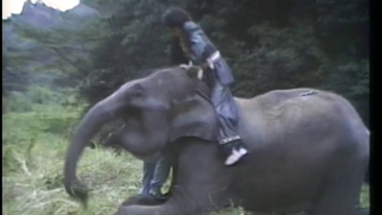 REVOLUTION TOUR 他 (THE ALFEE History II 1986-1991) - YouTube