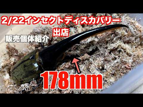 アートオブヘラクレスmovie - YouTube