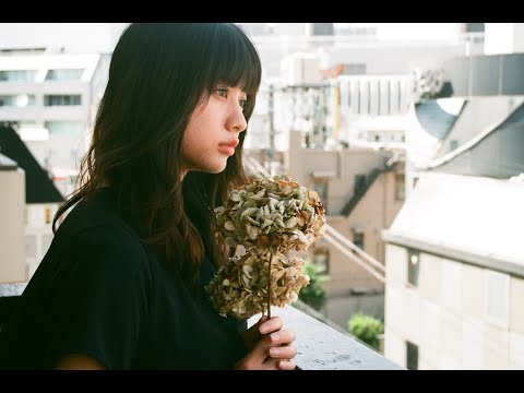 優里『ドライフラワー』Official Music Video（ショートver.） - YouTube