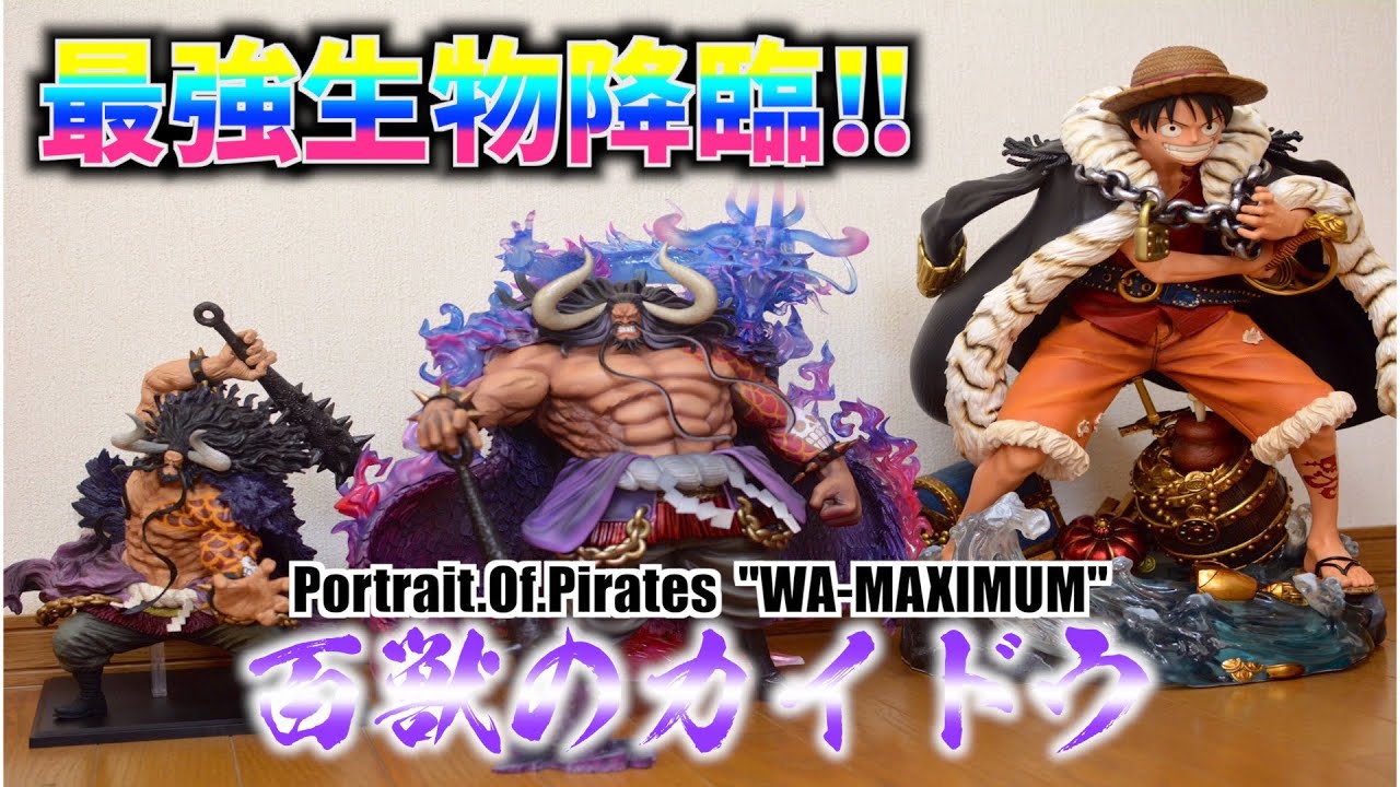 4万ベリーの感動‼︎【P.O.P ワンピース 