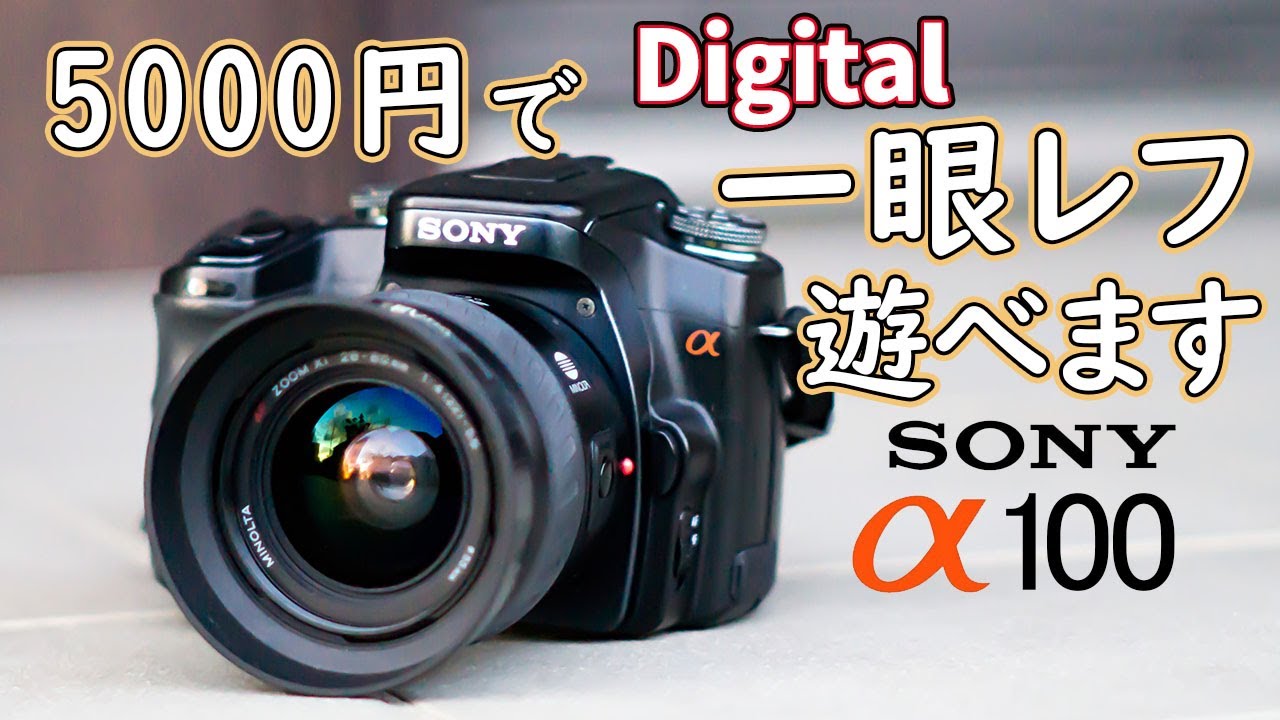 中古一眼レフカメラレビュー【ソニーSONY】SLT-A37【α37アルファ】商品