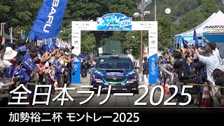All Japan Rally 